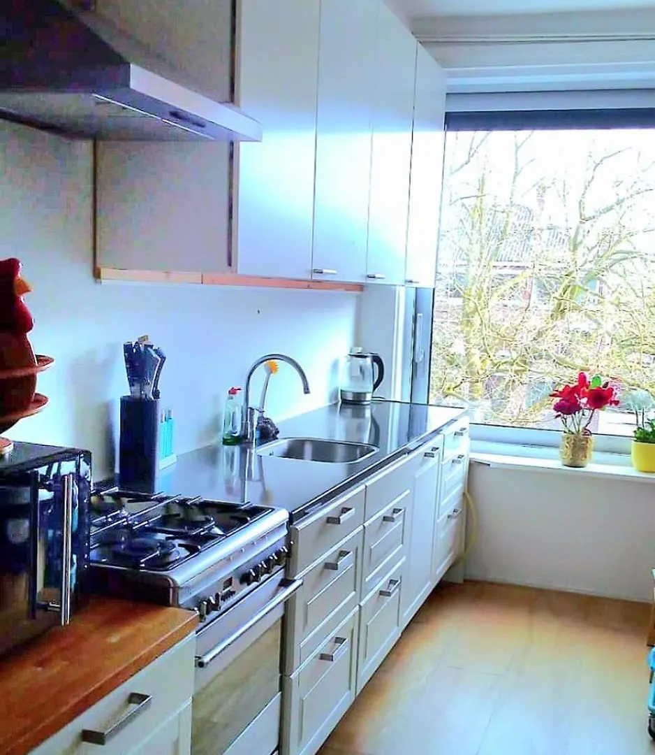 Entire Apartment In أمستردام
